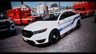 EMS Pack 1: 10 Scratch-Made Emergency Vehicles screenshot 11